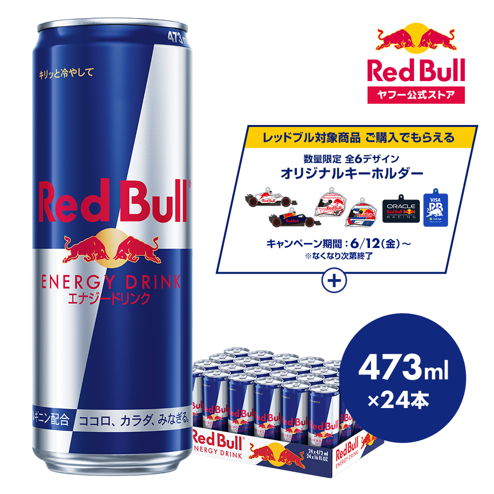 レッドブル（RedBull） ＼28％OFFクーポン対象 6/22まで／公式