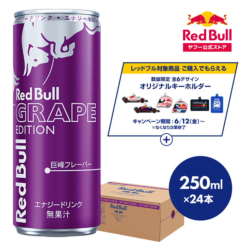 レッドブル（RedBull） ＼24％OFFクーポン対象 6/15まで／公式