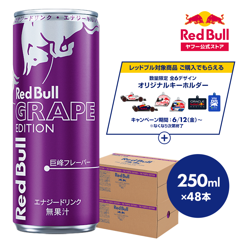 レッドブル（RedBull） ＼14％OFFクーポン対象 8/11まで／公式