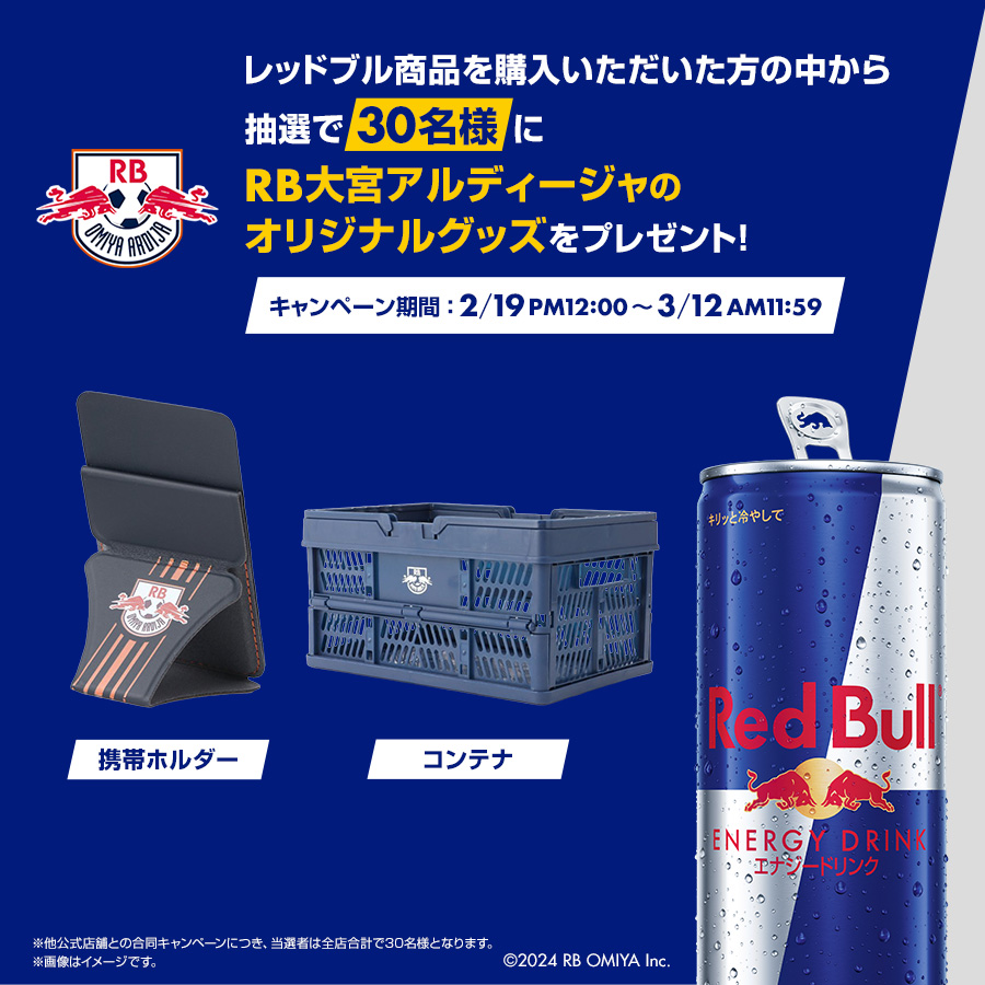 レッドブル（RedBull） 公式 エナジードリンク 250ml×48本(24本×2