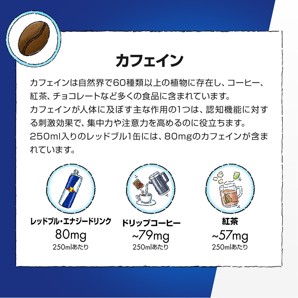 ＼24％OFF 5/20 09:59まで／公式 レッドブル エナジードリンク 250ml × 24本 1ケース 送料無料 Red Bull 翼をさずける 栄養ドリンク 箱 redbull｜redbull｜08