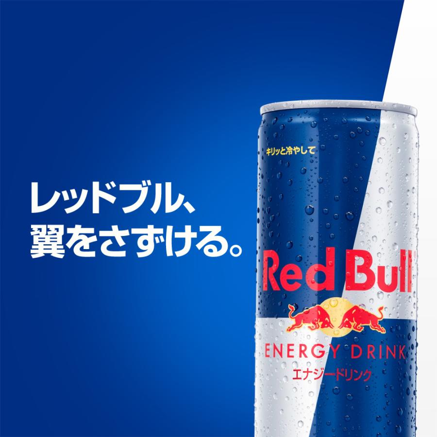 公式 レッドブル エナジードリンク 250ml × 48本 送料無料 Red Bull 翼をさずける 栄養ドリンク 箱 ギフト redbull 缶｜redbull｜03