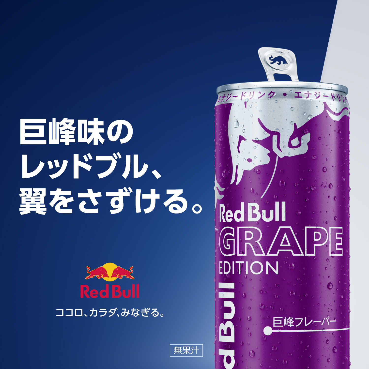 レッドブル（RedBull） 公式 エナジードリンク グレープエディション