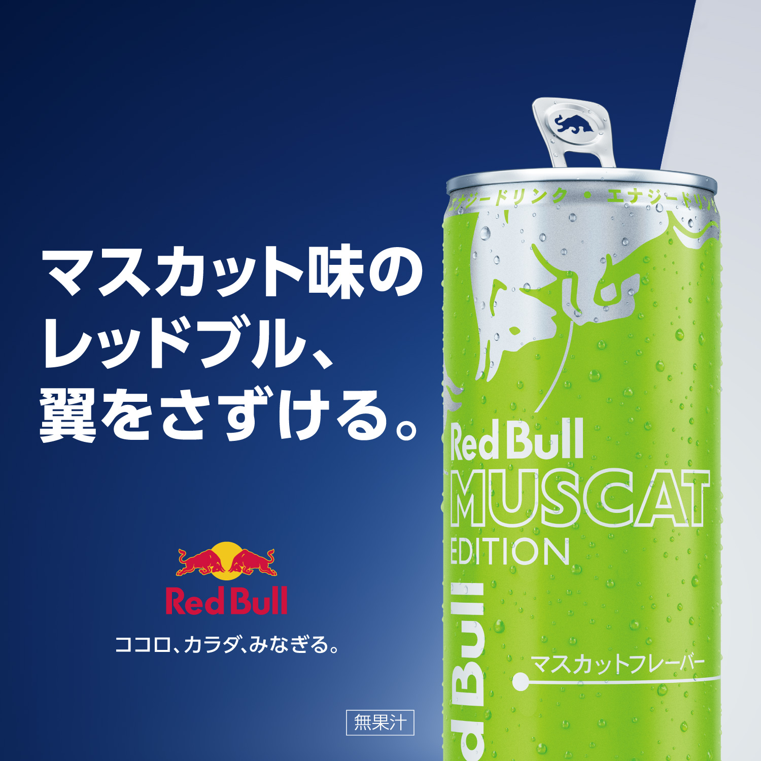 レッドブル 公式 Yahoo!ショッピング店 - エナジードリンク マスカット