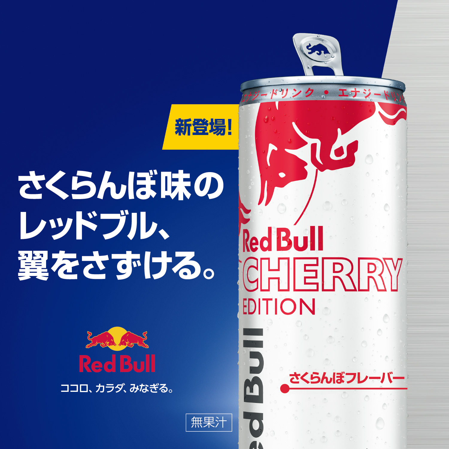 レッドブル（RedBull） ＼5%OFFクーポン配布中！4/1(水)〜5/15(金
