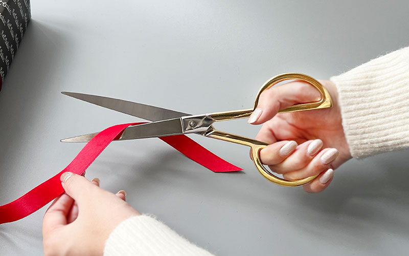 HAY ヘイ PHI SCISSORS L ( シザーズ ハサミ Lサイズ 大きめ 上品