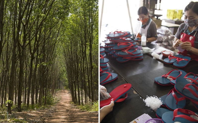 hidden forest market