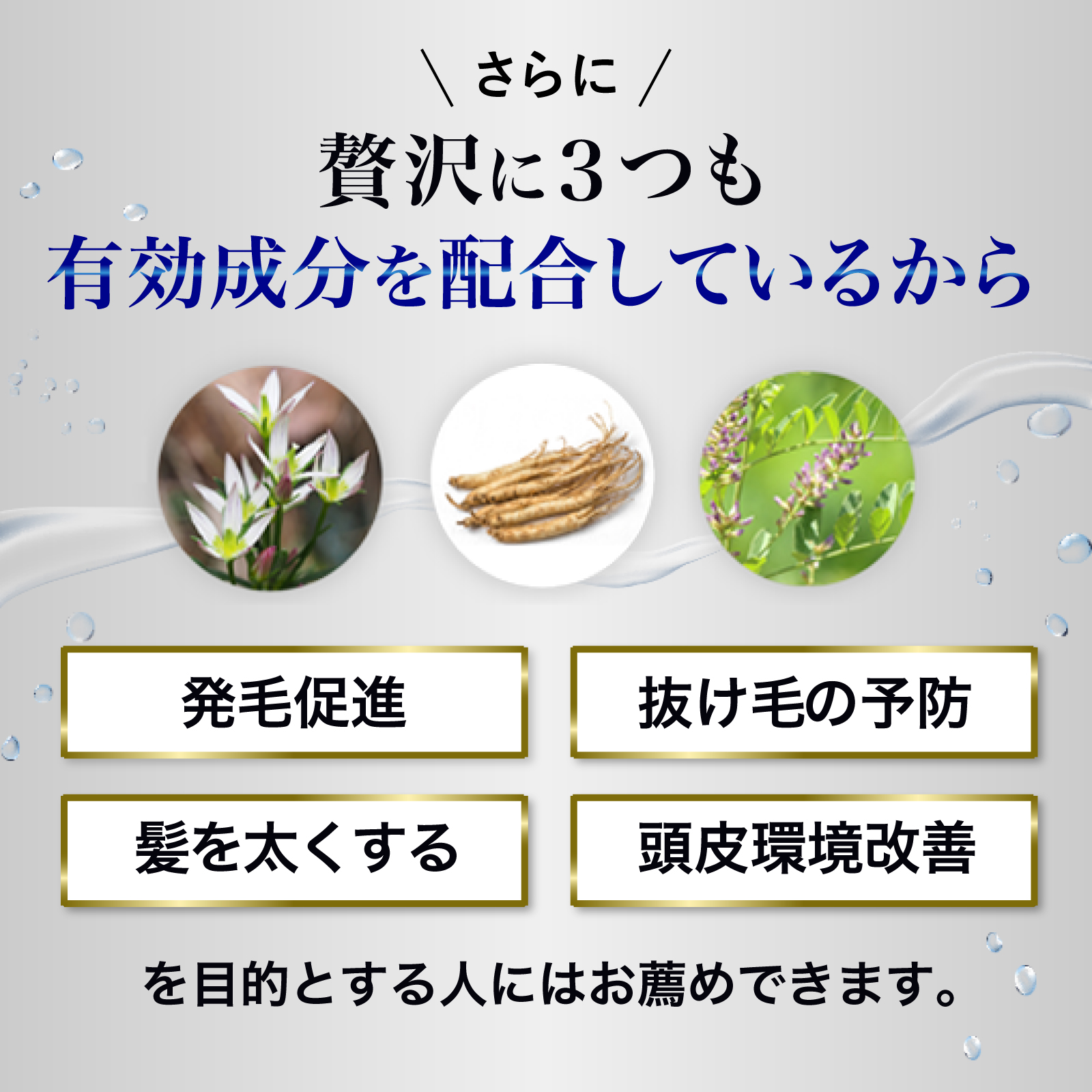 REDEN（リデン） 【最大40％OFF!!】育毛剤 3本セット スカルプケア