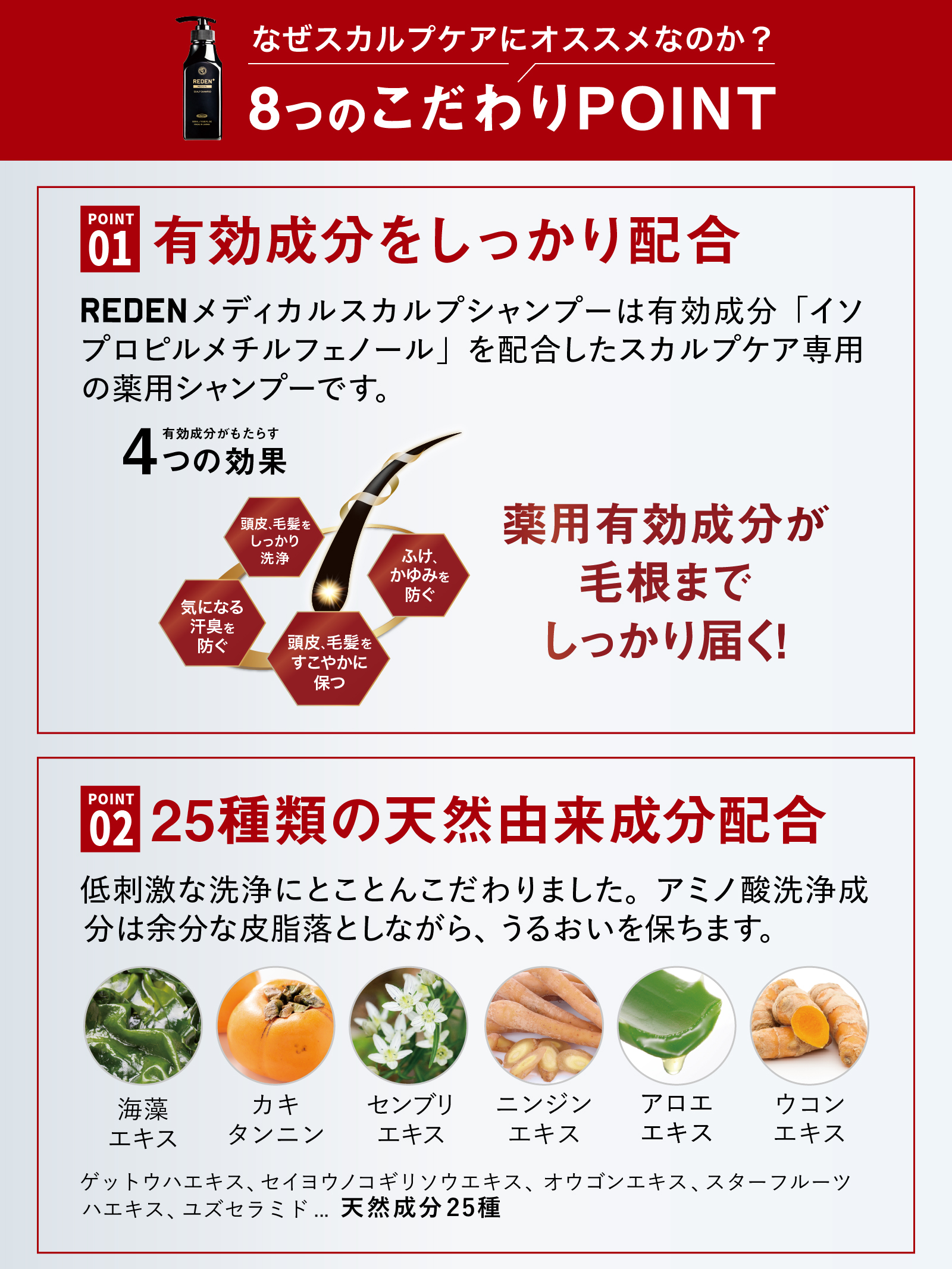 REDEN 【枚数限定クーポン発行中！最大20％】スカルプシャンプー