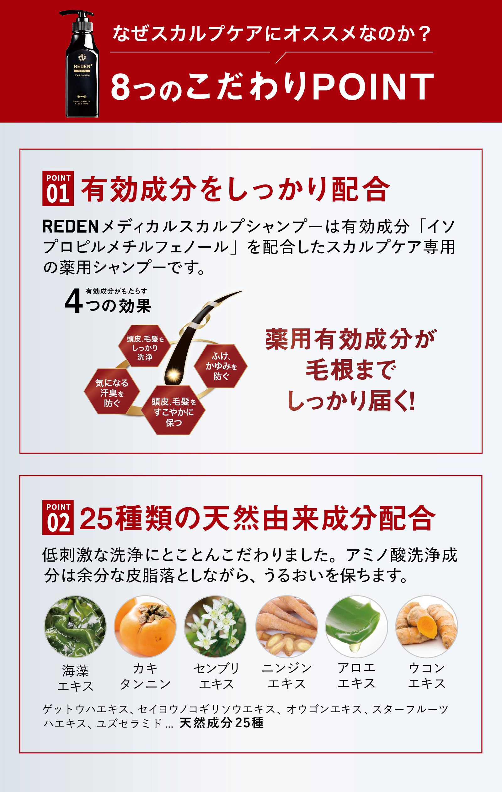 楽天市場】【公式】REDEN ヘアケアセット 育毛剤 薬用シャンプー