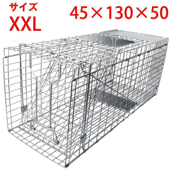 猫 捕獲器 アニマルトラップ 10個 箱罠 くくりわな アライグマ