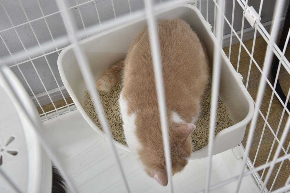 猫用ケージ 猫 ケージ キャットケージ 2段 ペットケージ
