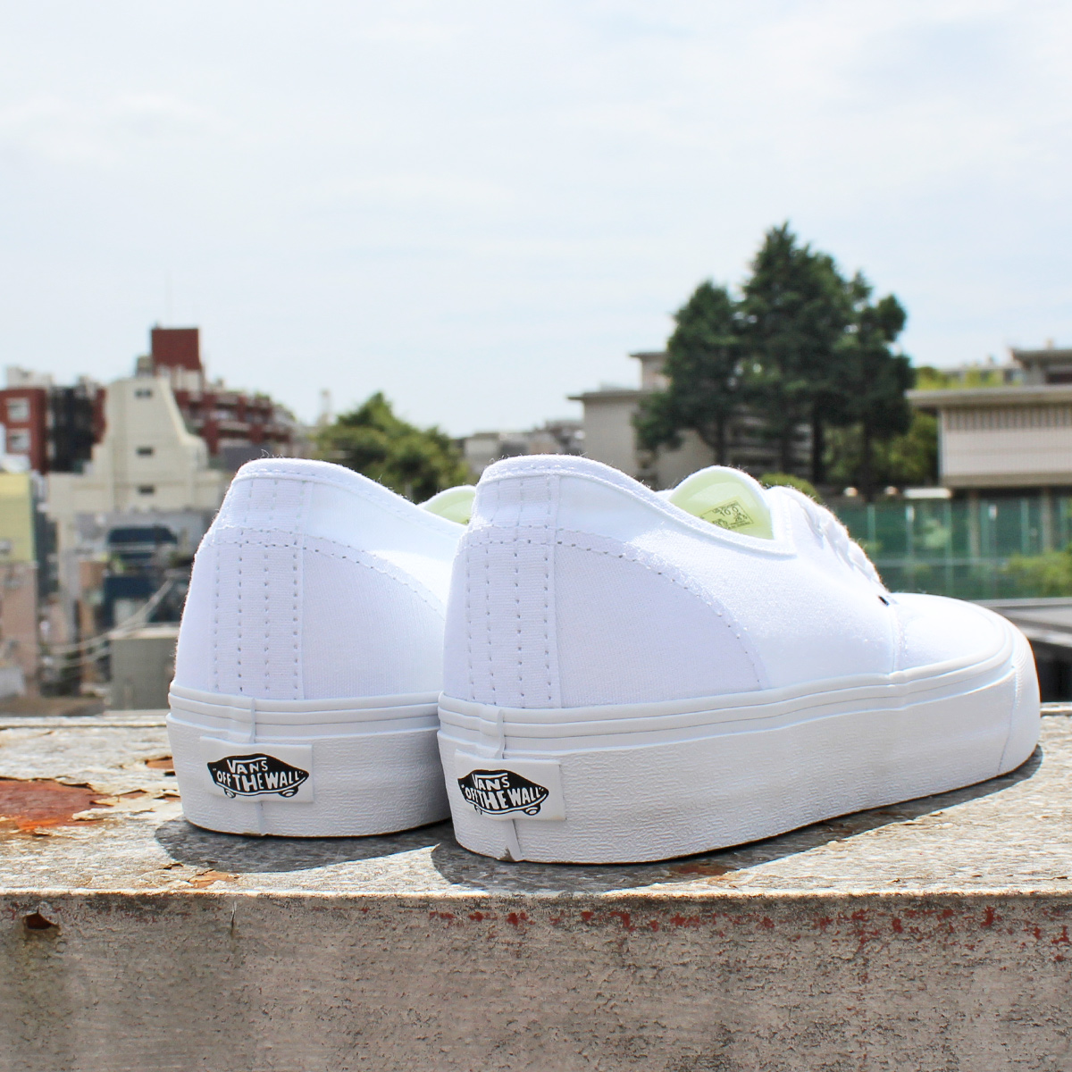 AUTHENTIC（VANS） VANS ヴァンズ AUTHENTIC オーセンティック