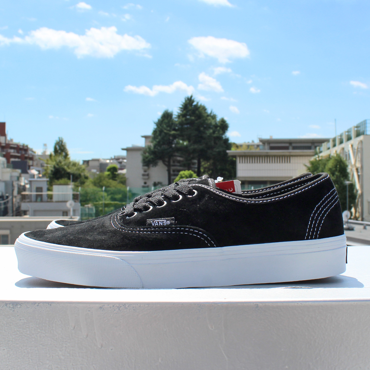 VANS SKATE AUTHENTIC / PIG SUEDE DARKPURPLE（バンズ/ヴァンズ