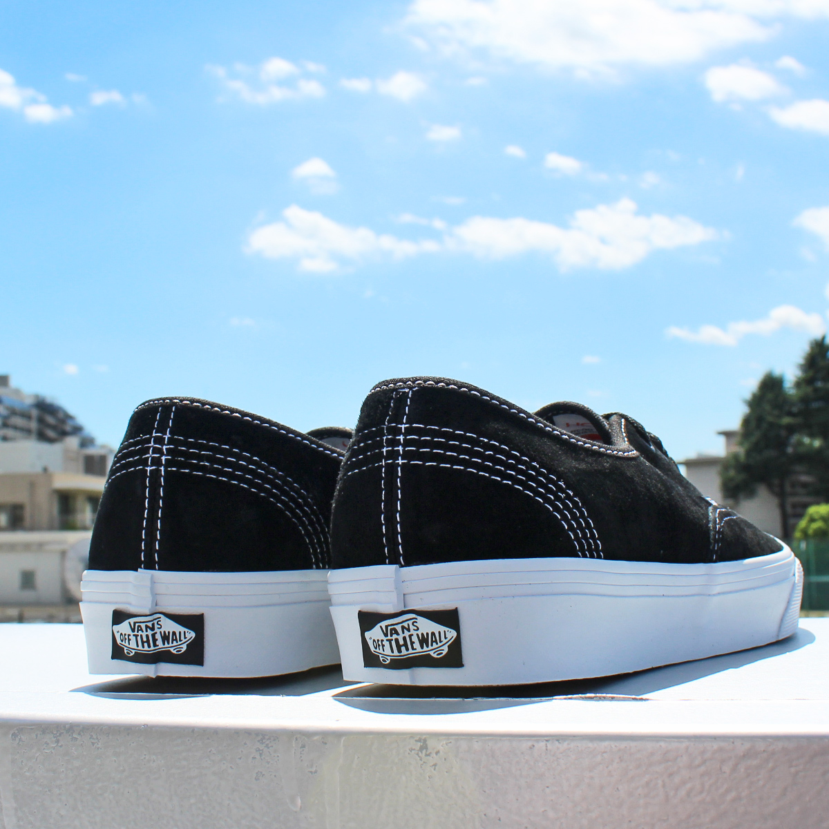 AUTHENTIC（VANS） VANS ヴァンズ AUTHENTIC オーセンティック PIG