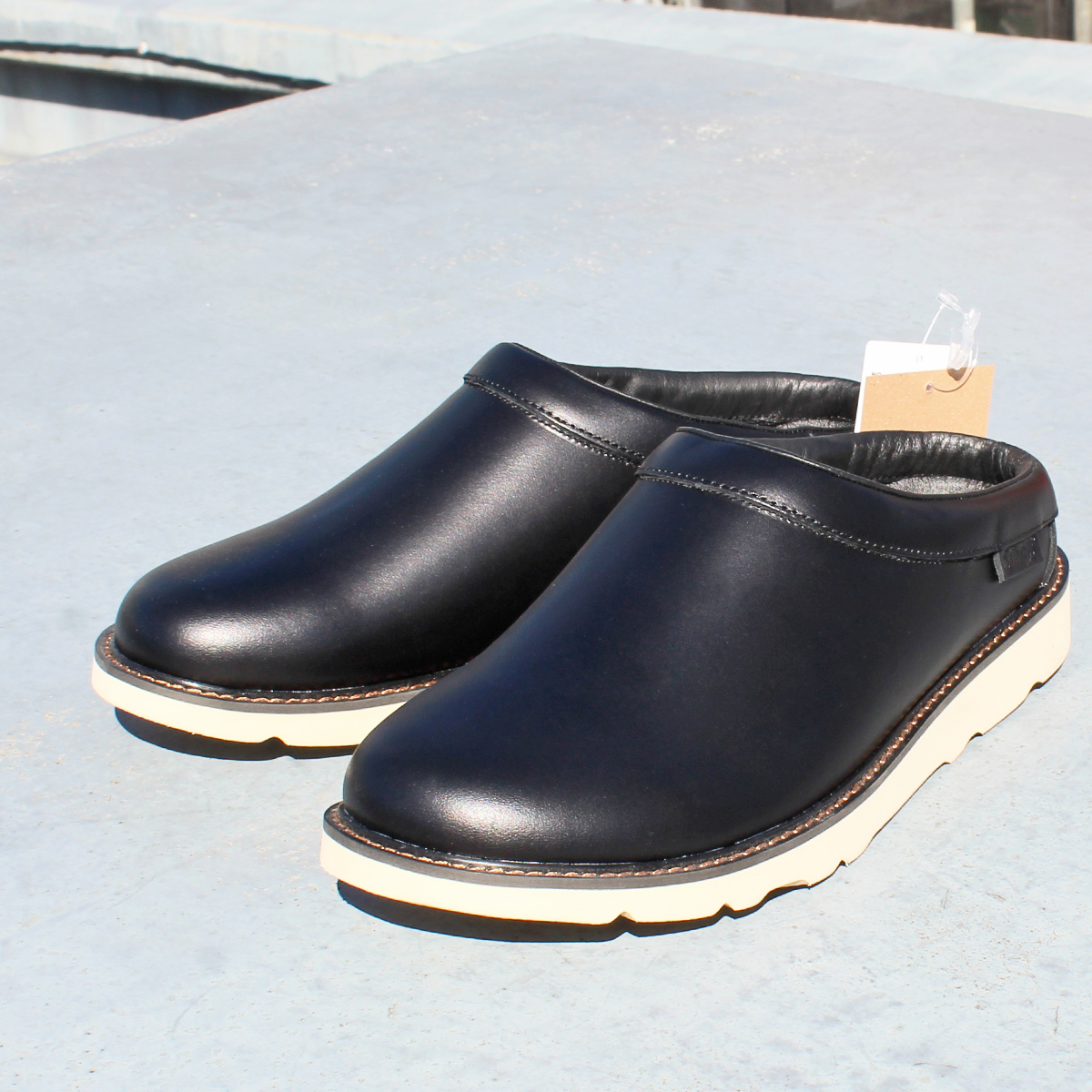 schott-clog1.jpg
