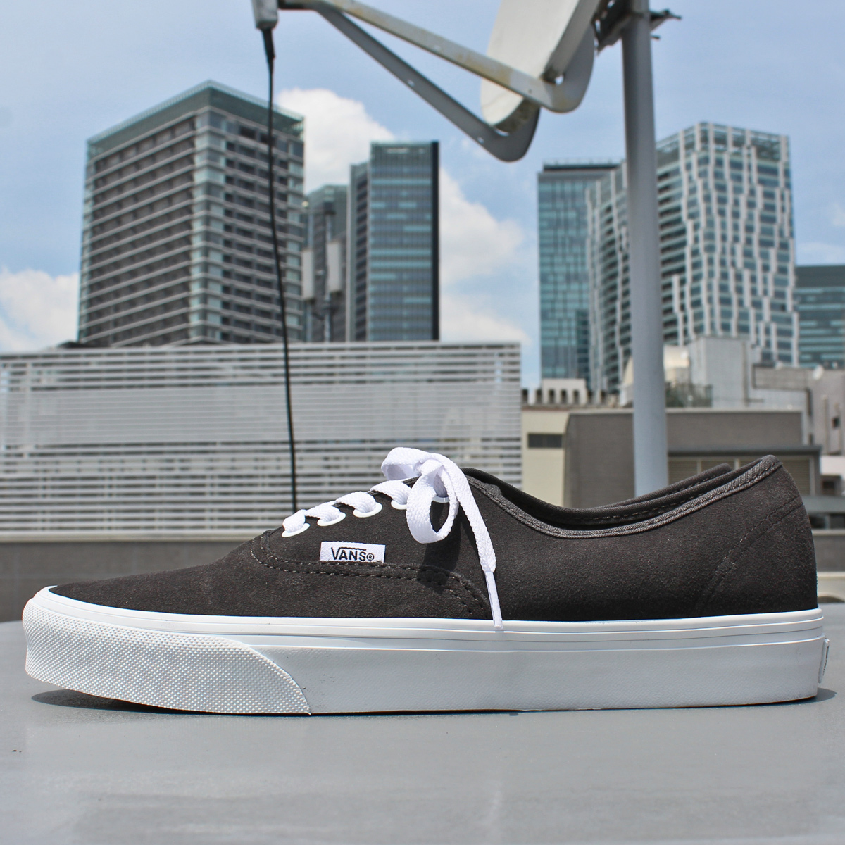 AUTHENTIC（VANS） VANS ヴァンズ AUTHENTIC オーセンティック PIG