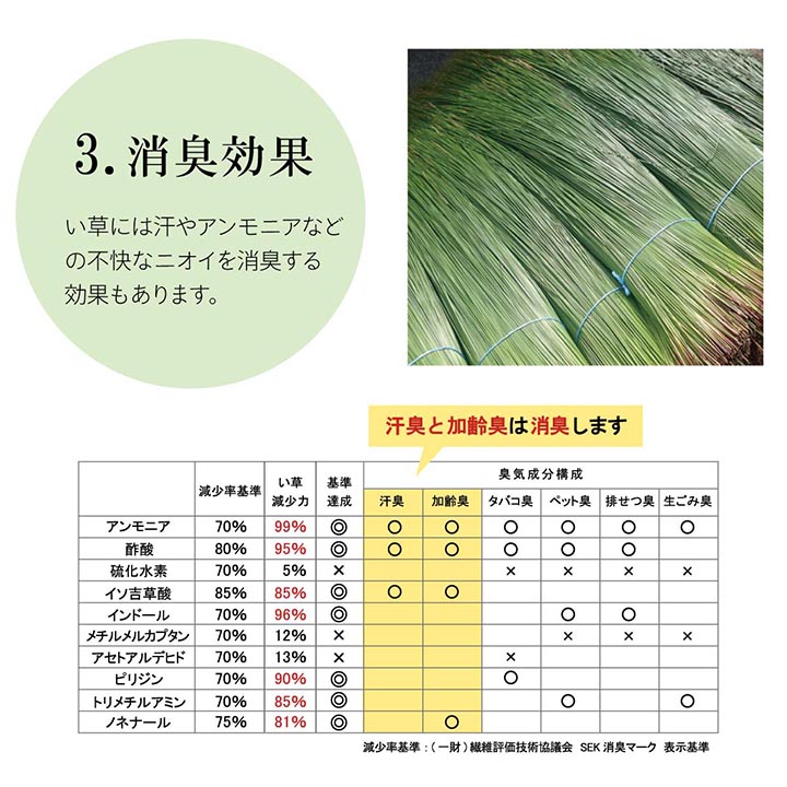 DX沖縄ビーグ い草 い草ラグ カーペット ビーグ 国産 日本製 沖縄 和室 リビング 滑り止め お手入れ簡単 夏 抗菌防臭 調湿 消臭 空気清浄 汚れにくい_10