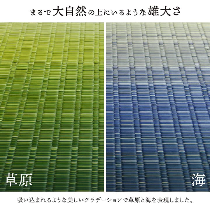 大自然 い草 ござ 花ござ 国産 日本製 上敷き 和室 敷物 カーペット モダン 掛川織 お手入れ簡単 夏 抗菌防臭 調湿 消臭 空気清浄 汚れにくい_5