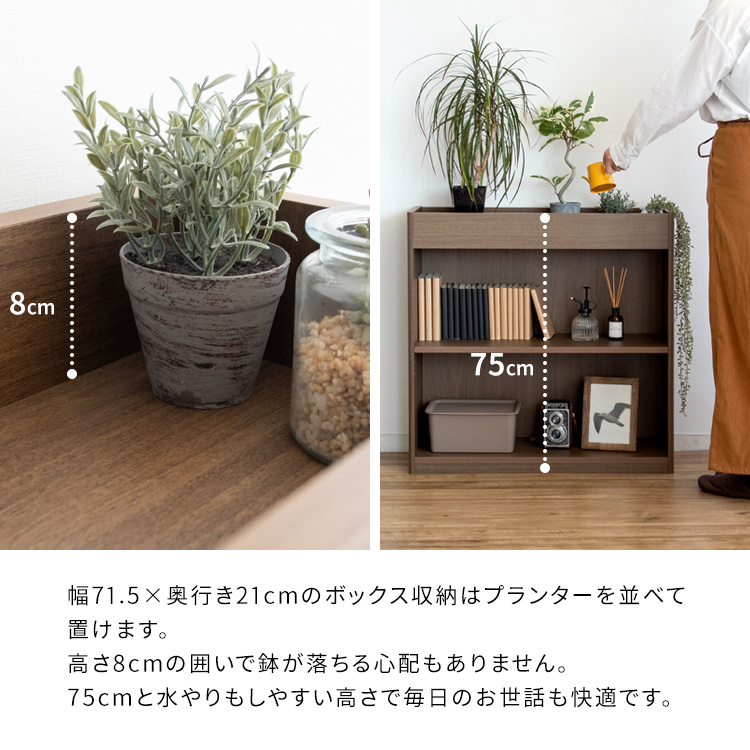 プランターラック オープンラック 観葉植物 飾る みせる 収納ラック