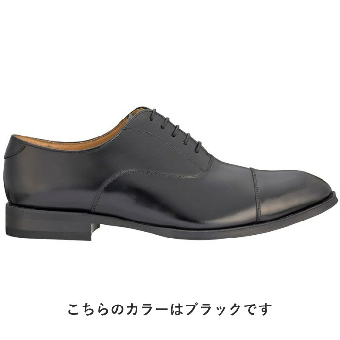 REGAL リーガル 公式 811R ストレートチップ ダークブラウン