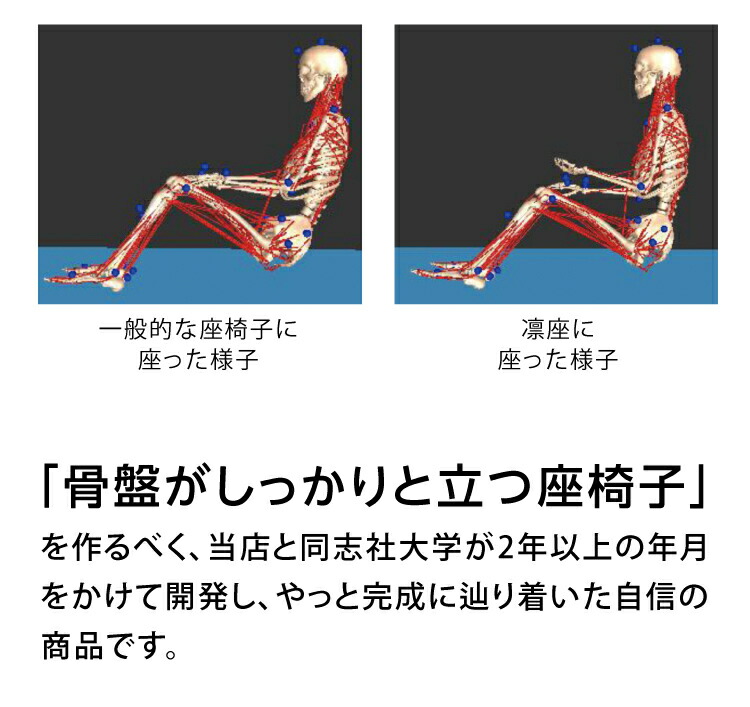 骨盤座椅子 凛座 骨盤矯正 座椅子 腰痛 姿勢 骨盤 ゆがみ矯正