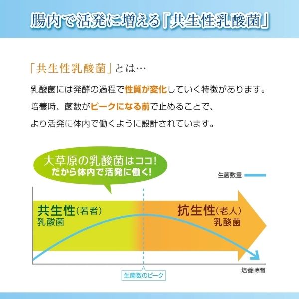 商品画像6