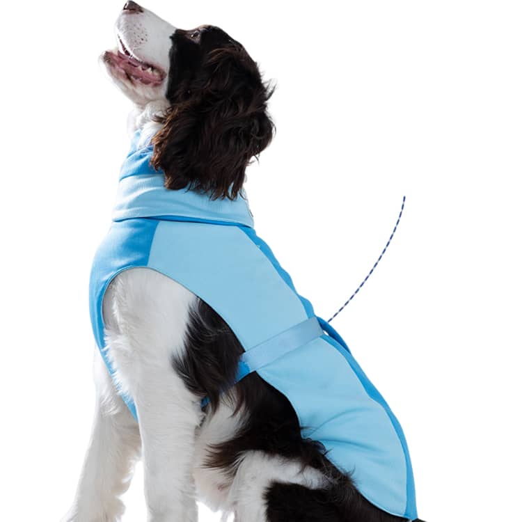 クール 瞬間冷却 犬 ひんやり 夏服 接触冷感 メッシュ 冷感 タンク