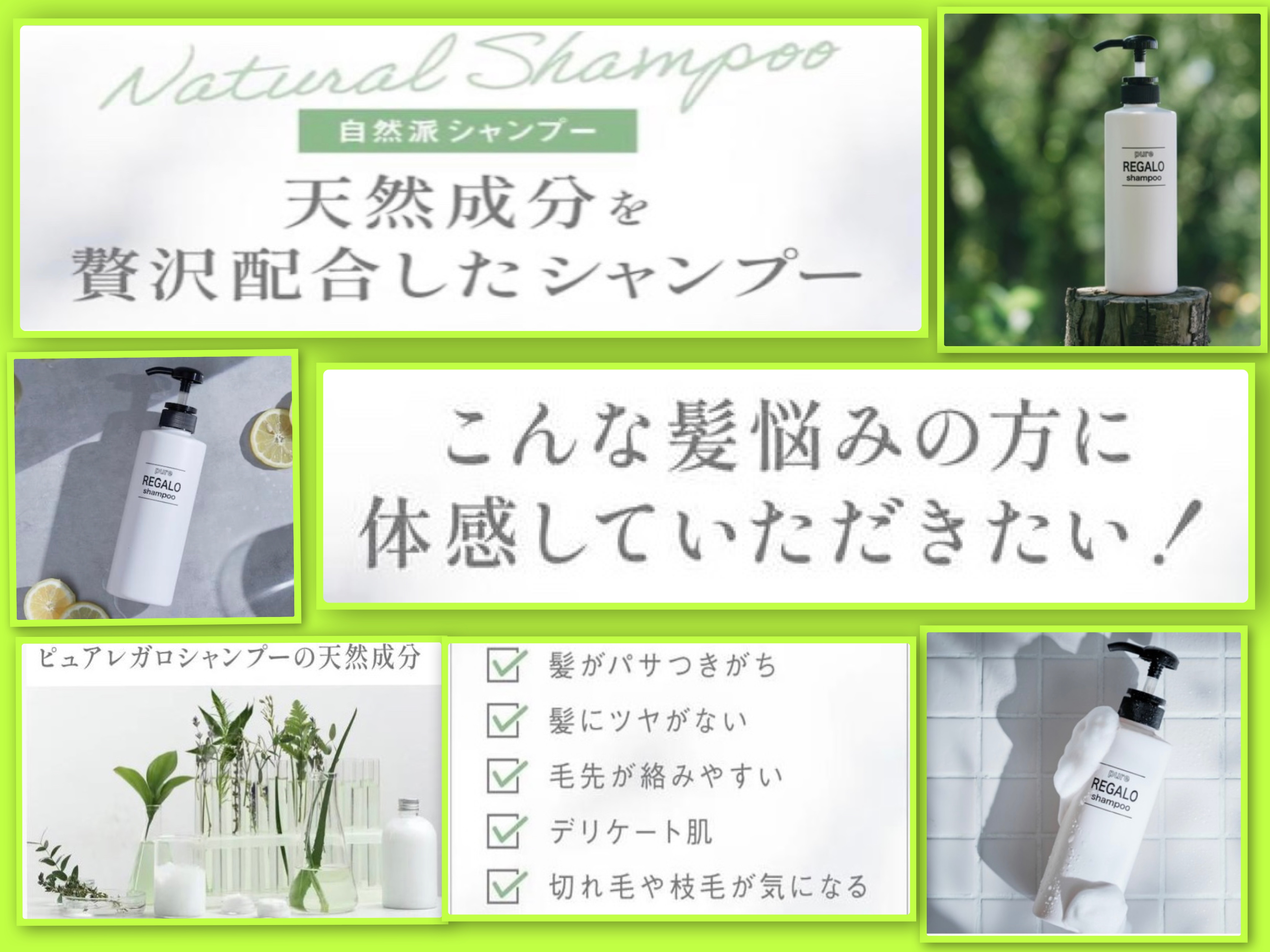 REGALO-eSHOPヤフー店 ヘッダー画像