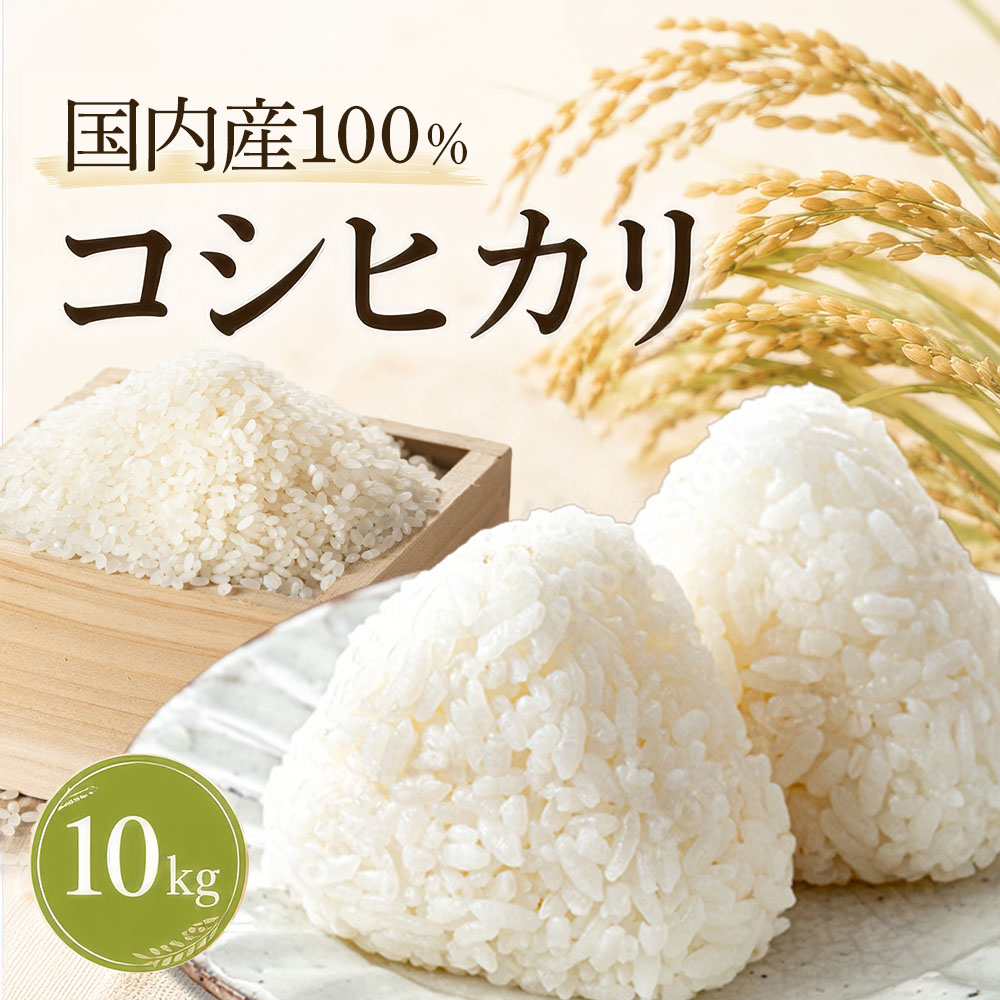 【令和７年♦️10kg精米】５㎏精米×２袋✴︎農薬不使用✴︎最高級希少米✴︎コシヒカリ 7月上旬精米につきお買い得価格】米 10kg コシヒカリ (5kg×2袋) 国内産
