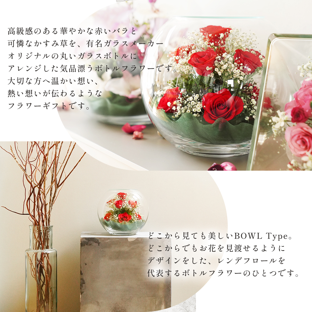 レンデフロール ドライフラワーギフト 薔薇 Reine De Fleur - 通販