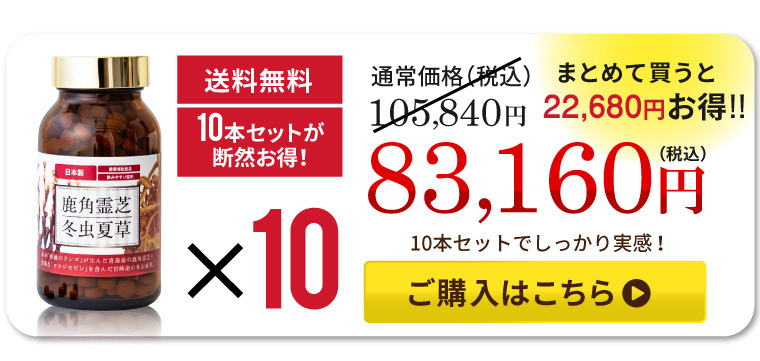 霊芝 サプリ サプリメント 鹿角霊芝 冬虫夏草 お得 3本セット 免疫