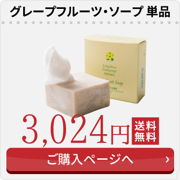 通常パッケージ単品