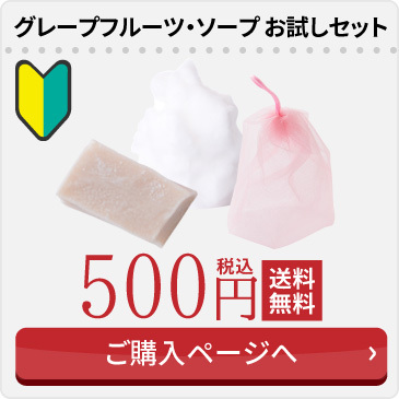 通常お試しセット