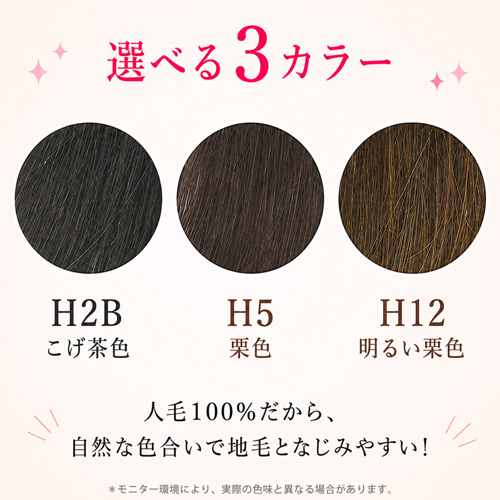 頭頂部用部分ウィッグ BT-02 Mサイズ 人毛100％ 総手植え ヘアピース
