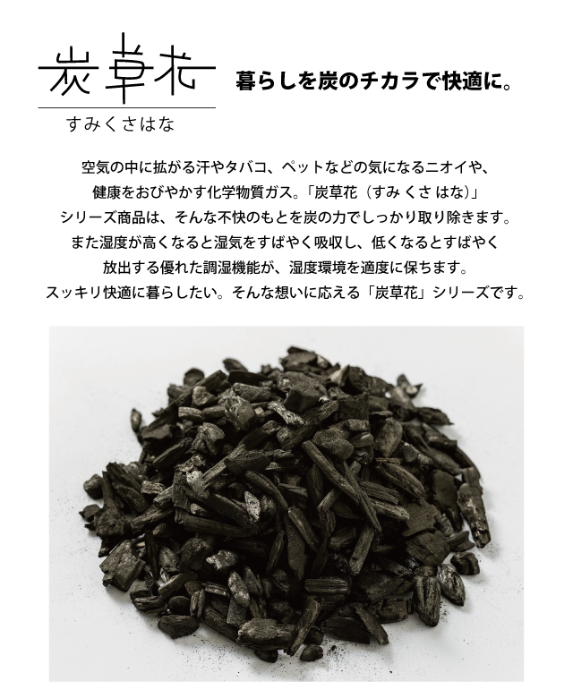 炭草花 除湿 ブーツキーパー・セル ベリーショ...の詳細画像4