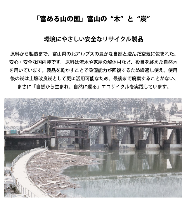炭草花 除湿 ブーツキーパー・セル ベリーショ...の詳細画像5