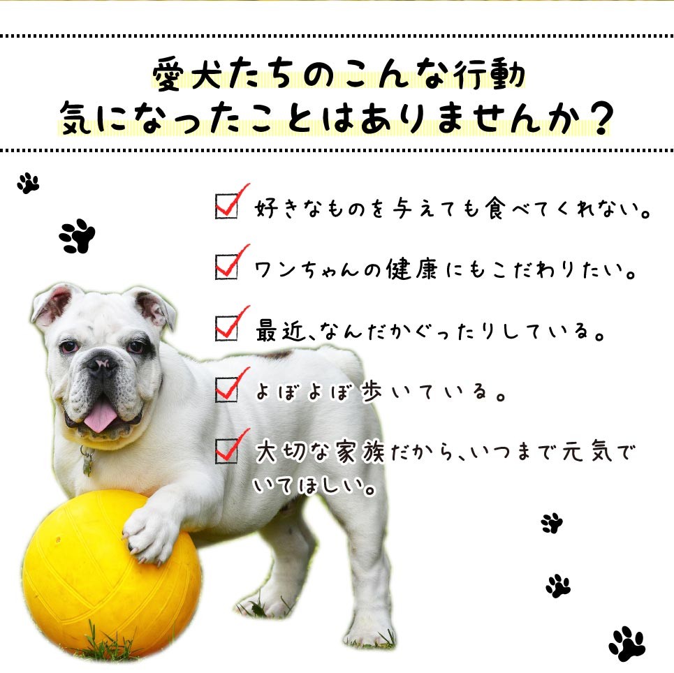 ペットサプリメント 犬の元気バリアサポート プロポリスエキス 送料無料 ドッグサプリ ドッグフード アガリクス茸 ビタミンc ビール酵母 Dogbarrier 1 リリーフライフ安心通販 通販 Yahoo ショッピング