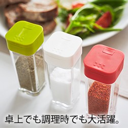 山崎実業（YAMAZAKI）スパイスボトル アクア