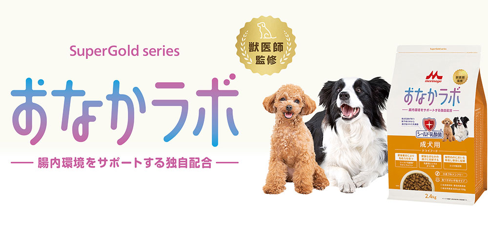 スーパーゴールド おなかラボ シニア犬用 2.4kg ドッグフード 森