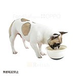 OPPO オッポ FoodBall open フードボール オープン ペチャバナ ダークグレー 早食い防止 犬用 at