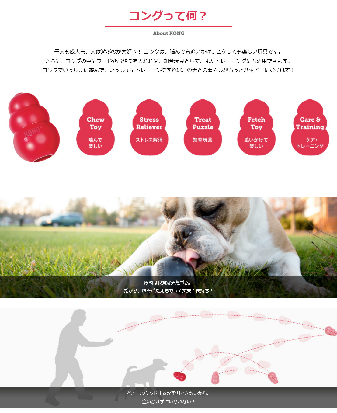 KONG ブラックコング XLサイズ 大・超大型犬用（犬用おもちゃ）n