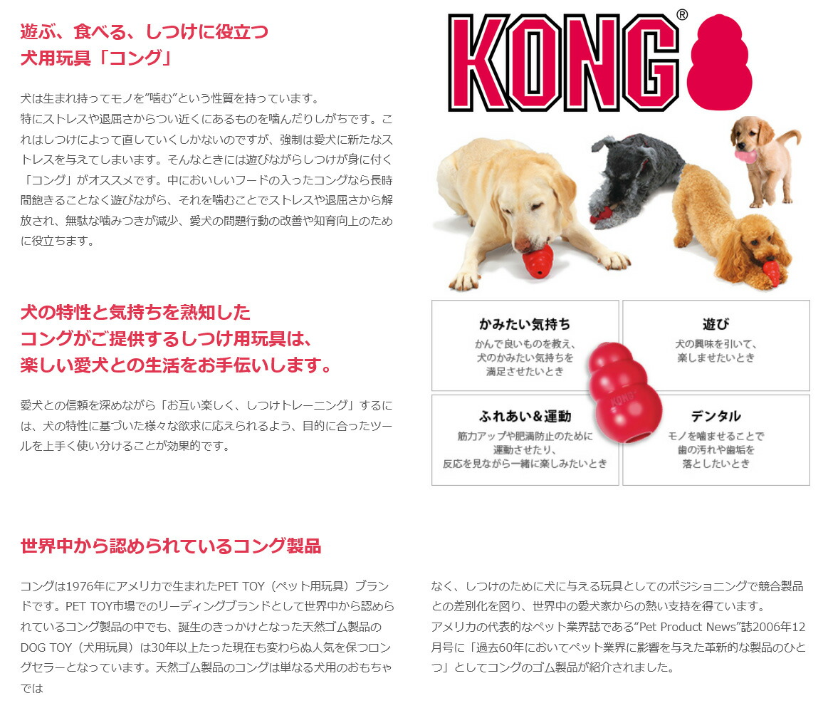 大型犬用おもちゃ ブラックコング リッチェル Tonka ナーフドッグ KONG