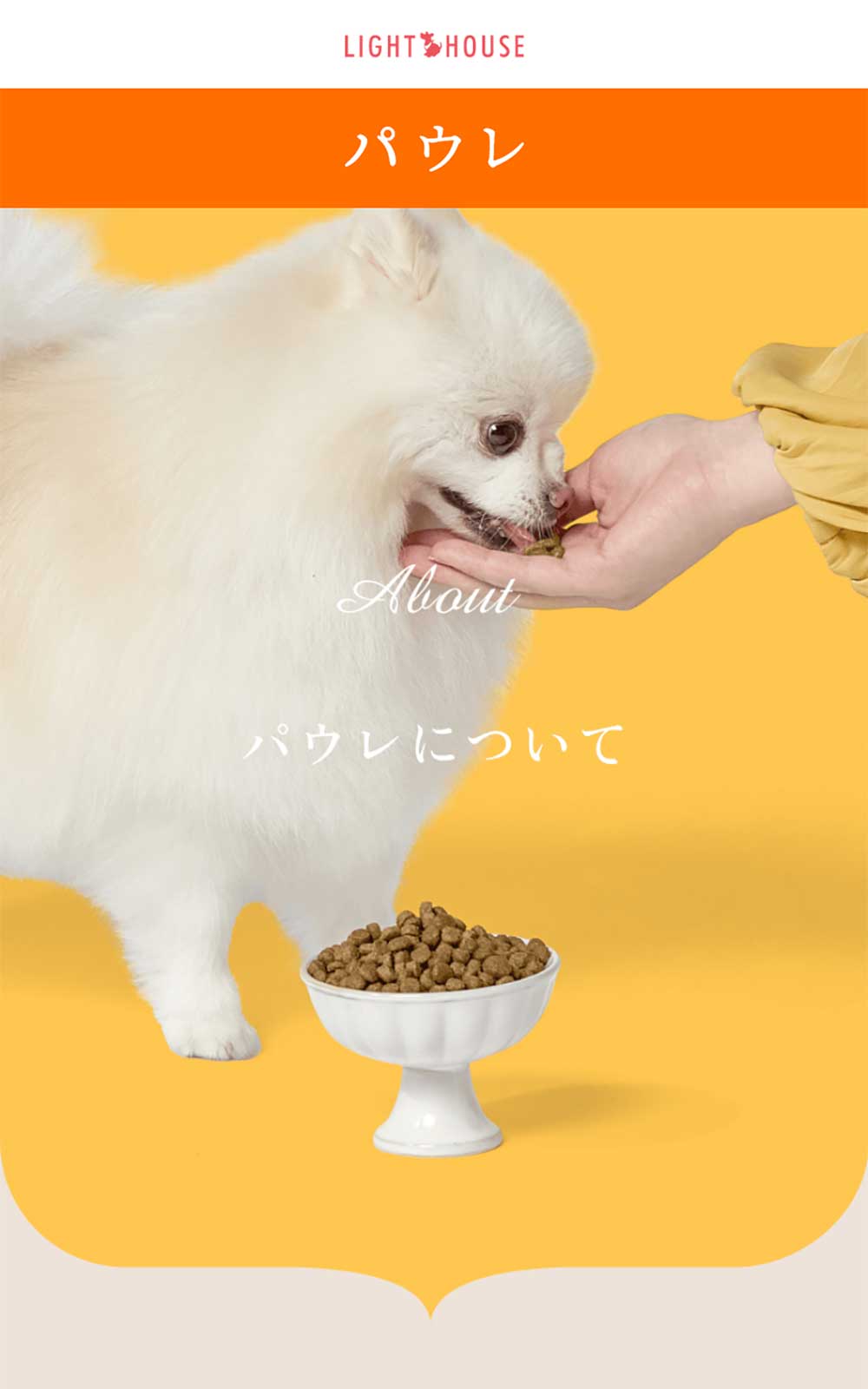 ドッグフード bow 愛犬元気 パックン 7歳以上 ビーフ・ささみ・野菜・小魚 2.5kg