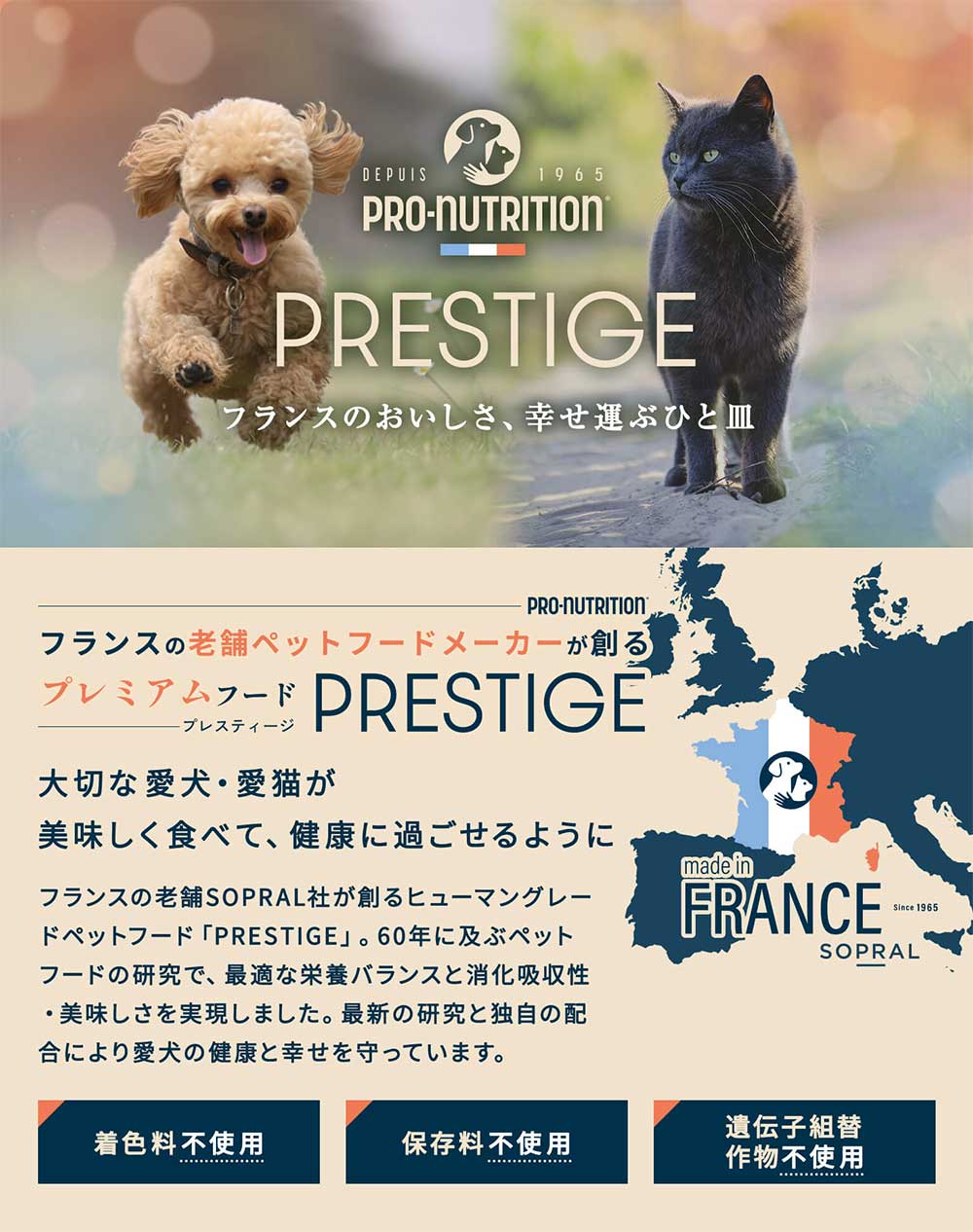 犬と猫のロッキングプレート　裁断済み 81-621uNFoL.jpg