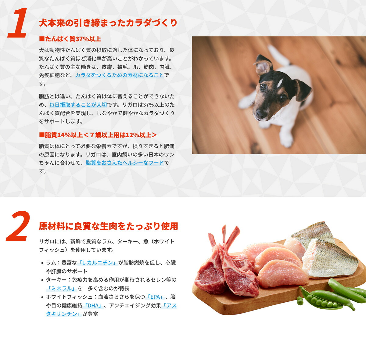 BATSUGUN バツグン ドッグフード シニア チキン 高齢犬用 4.5kg ペット