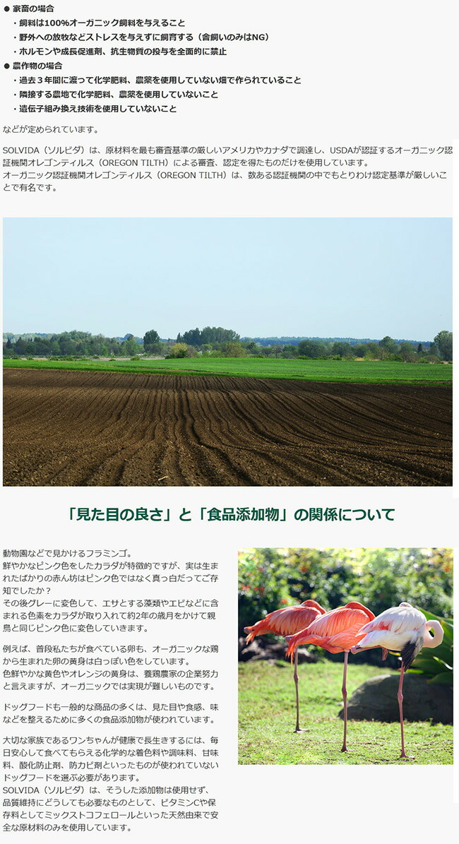 ソルビダ グレインフリー ターキー 室内飼育全年齢対応 5.8kg ソルビダ