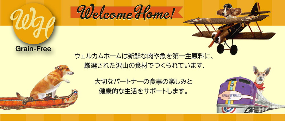 ロータスジャパン ウェルカムホーム グレインフリーチキンレシピ 800g