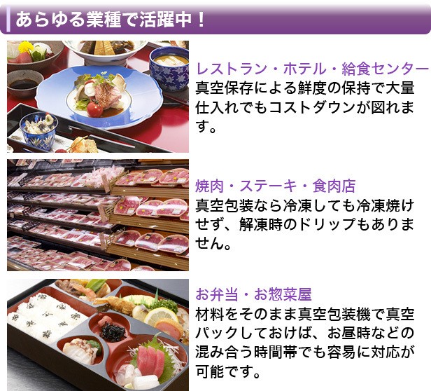 レマコム 業務用 真空包装機 (チャンバー型) パッカーワン レマコム 業務用 真空包装機 (チャンバー型) パッカーワン