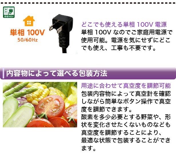 レマコム 業務用 真空包装機 (チャンバー型) パッカーワン レマコム 業務用 真空包装機 (チャンバー型) パッカーワン
